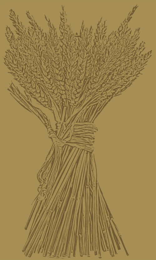 A detailed digital illustration of a bundle of wheat stalks tied together with a rope.